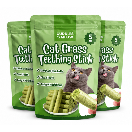 Cat Grass Teething Sticks