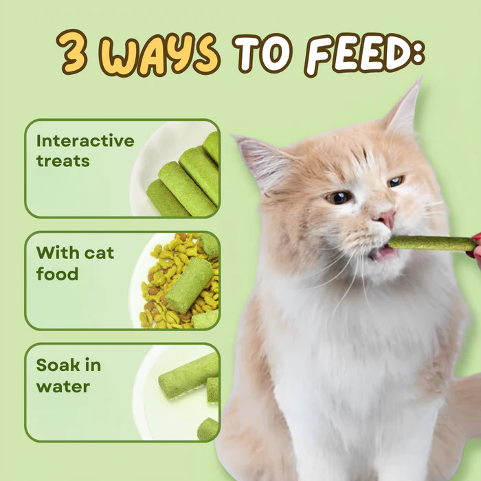 Cat Grass Teething Sticks