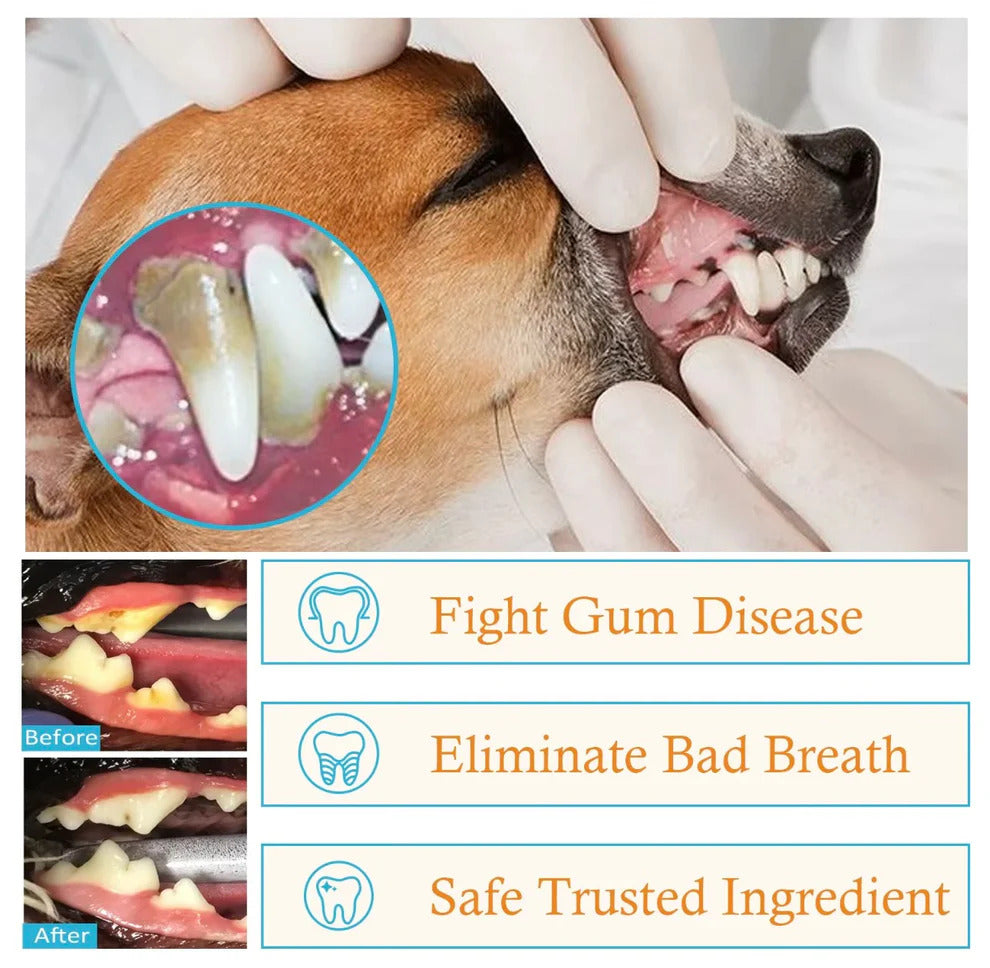 Dental Finger Wipes For Pets (Cats & Dogs)