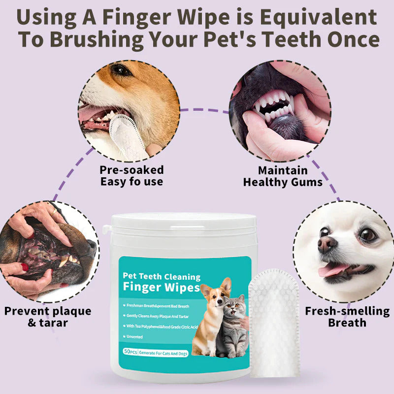 Dental Finger Wipes For Pets (Cats & Dogs)